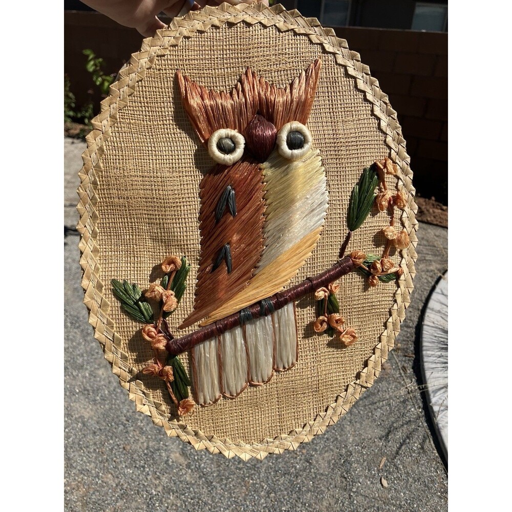 VTG 70’s Woven Straw & Raffia Owl Hanging Decor 12”x9” Earth Tones Handmade